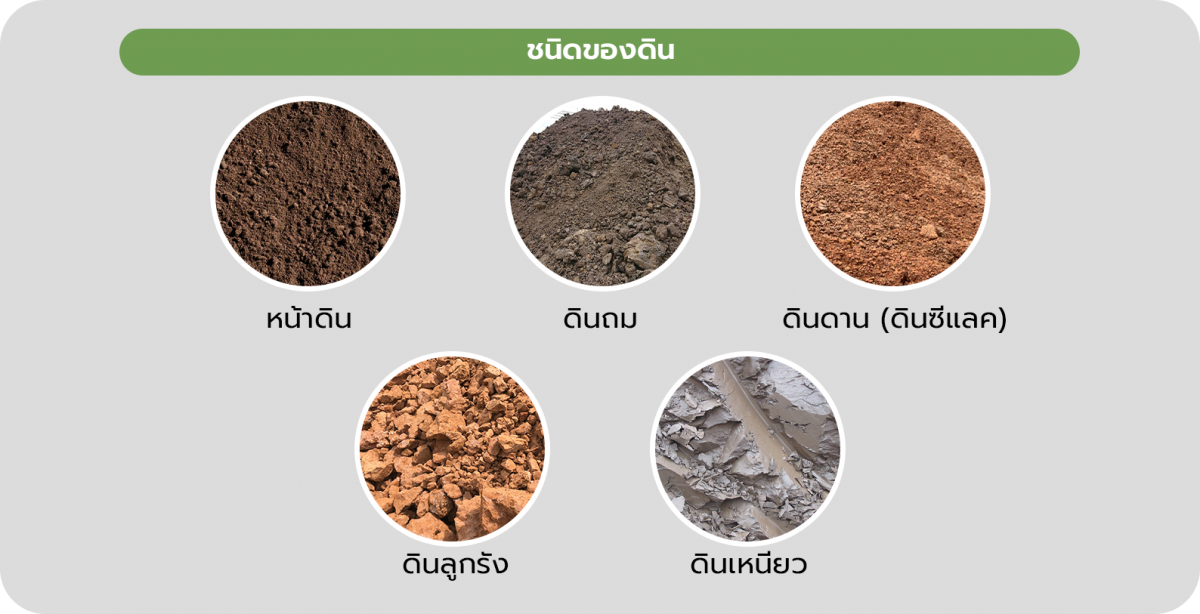 ชนิดดิน